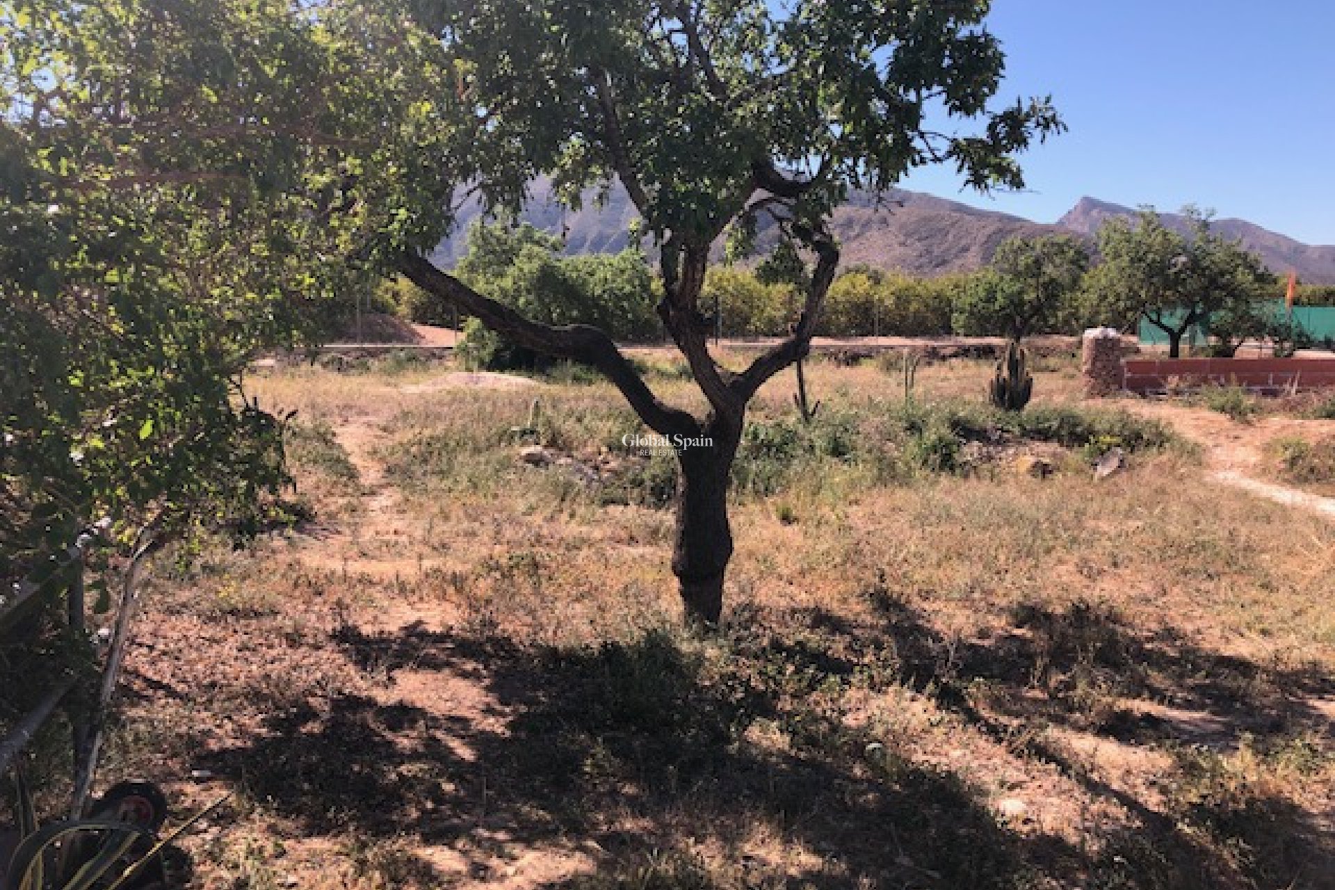 Resale -  -
LA MATANZA - La Matanza