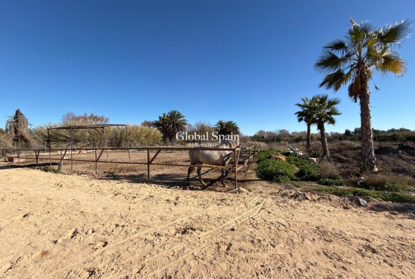 Resale - LAND -
ALGORFA - Inland