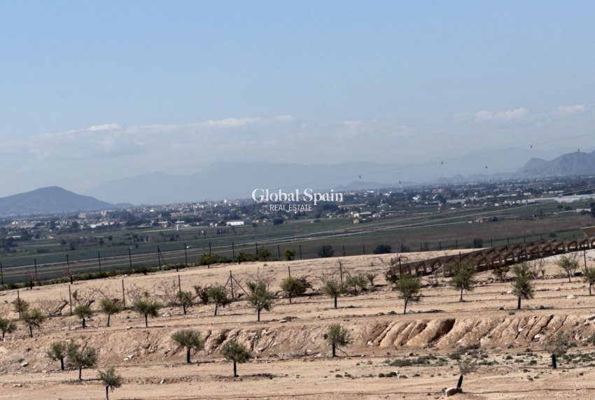 Resale - Land and Plots -
SAN FULGENCIO - LA MARINA