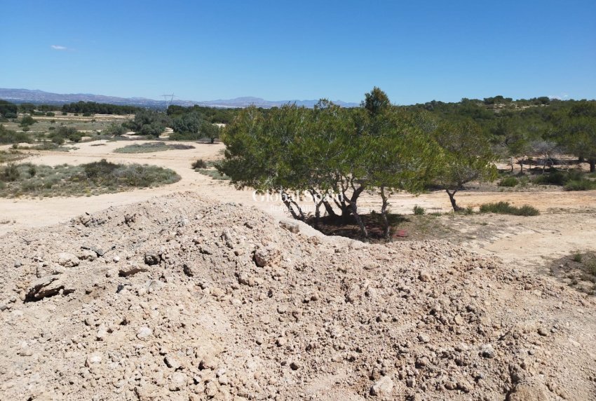 Resale - Land and Plots -
SAN FULGENCIO - LA MARINA