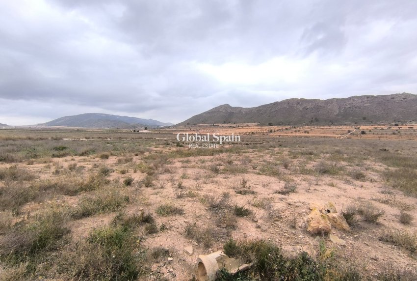 Resale - LAND -
CAÑADA DE LA LEÑA - Inland