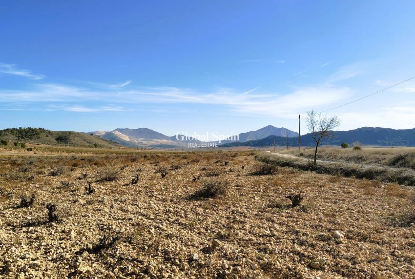 Resale - LAND -
CAÑADA DEL TRIGO - Inland