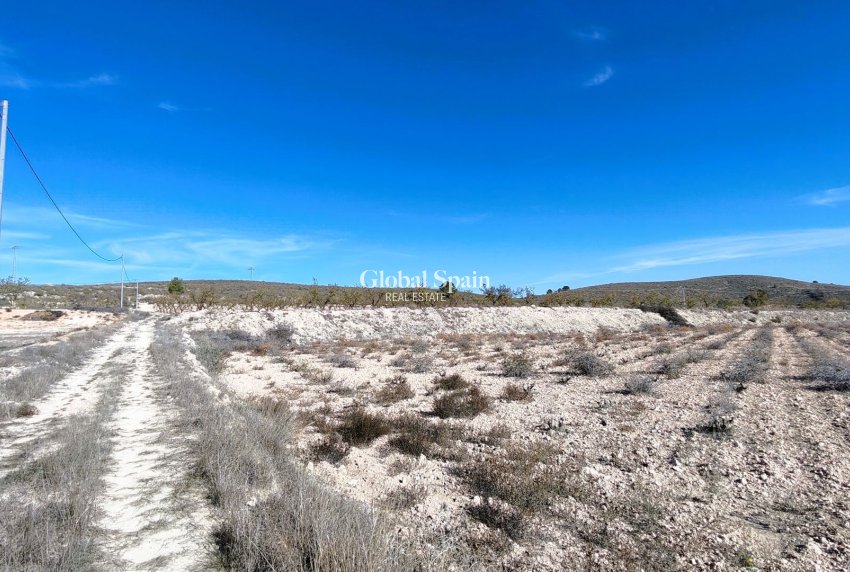 Resale - LAND -
CAÑADA DEL TRIGO - Inland