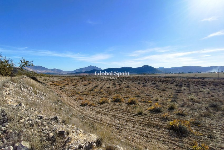Resale - LAND -
CAÑADA DEL TRIGO - Inland