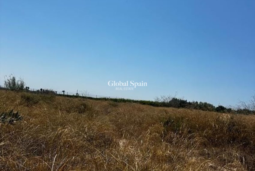 Resale - LAND -
ELCHE - Costa Blanca