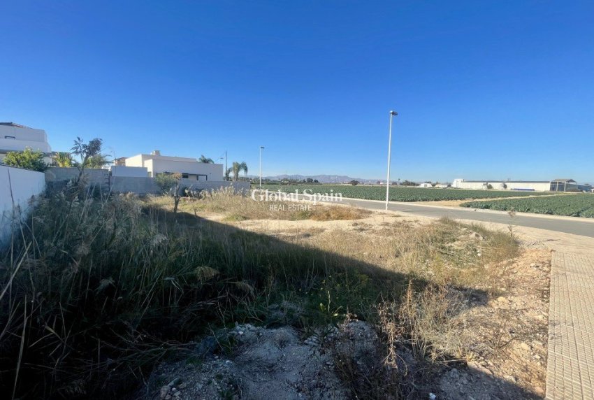 Resale - LAND -
FORMENTERA DEL SEGURA - Costa Blanca