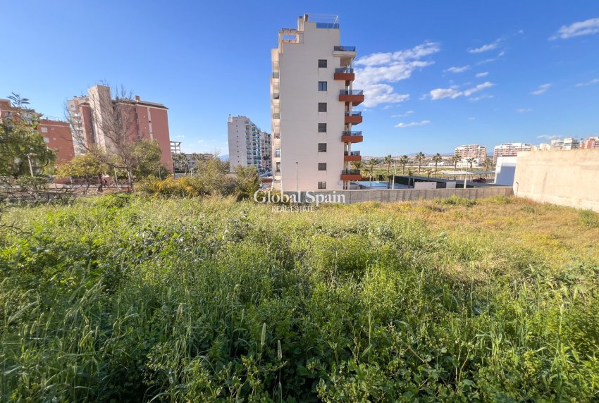 Resale - LAND -
GUARDAMAR DEL SEGURA