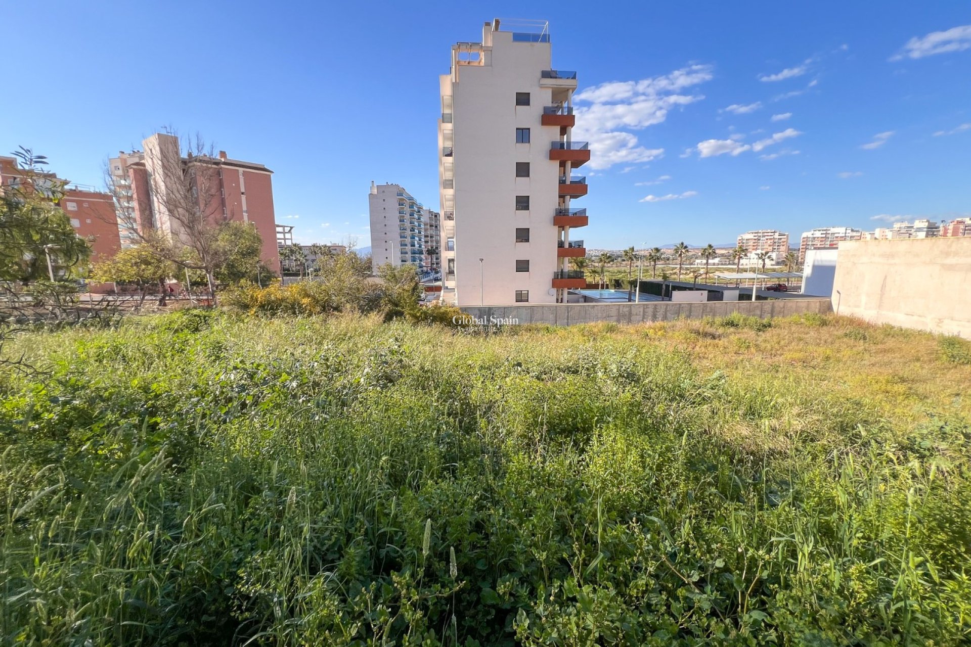 Resale - LAND -
GUARDAMAR DEL SEGURA