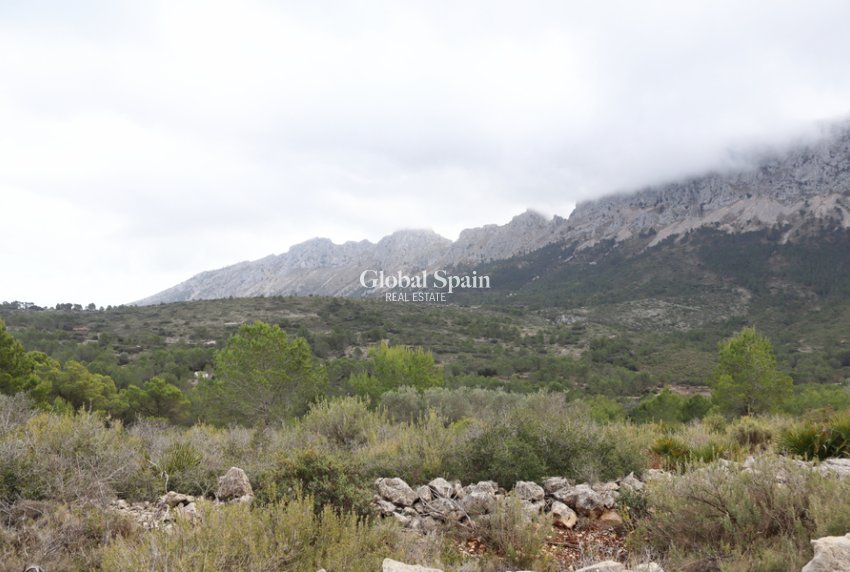 Resale - LAND -
JALÓN - Inland