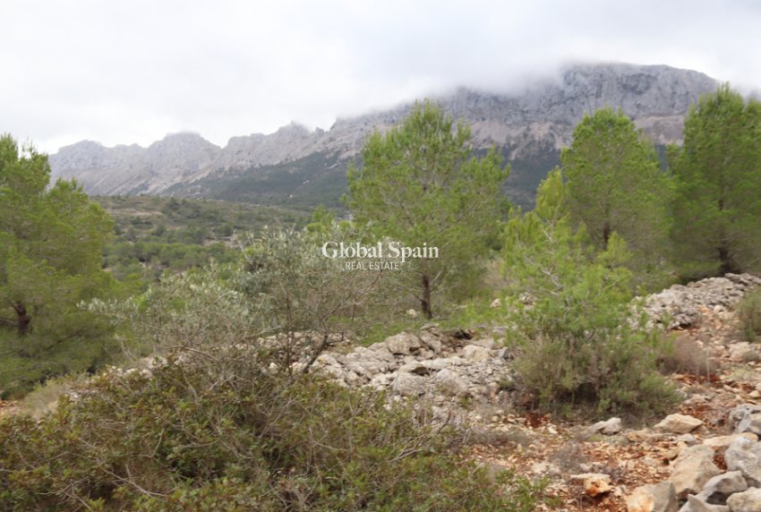 Resale - LAND -
JALÓN - Inland