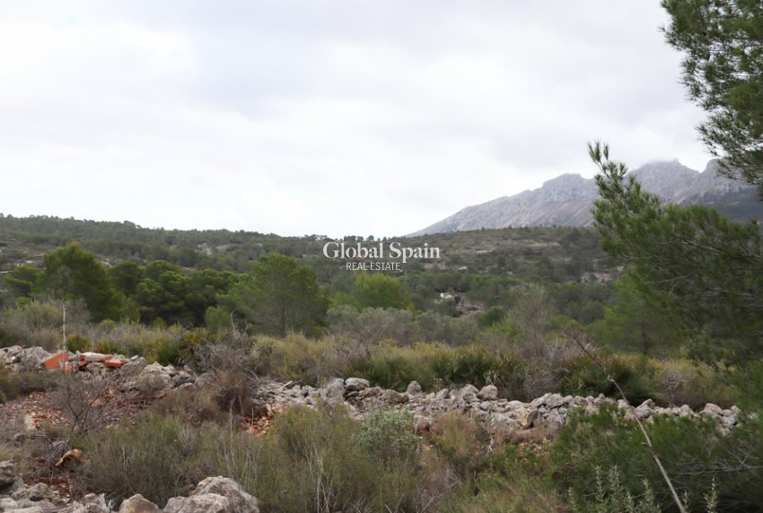 Resale - LAND -
JALÓN - Inland