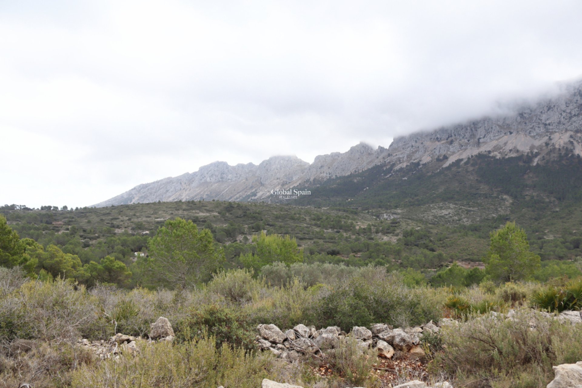 Resale - LAND -
JALÓN - Inland