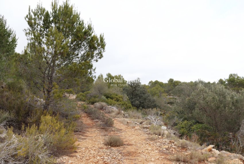 Resale - LAND -
JALÓN - Inland