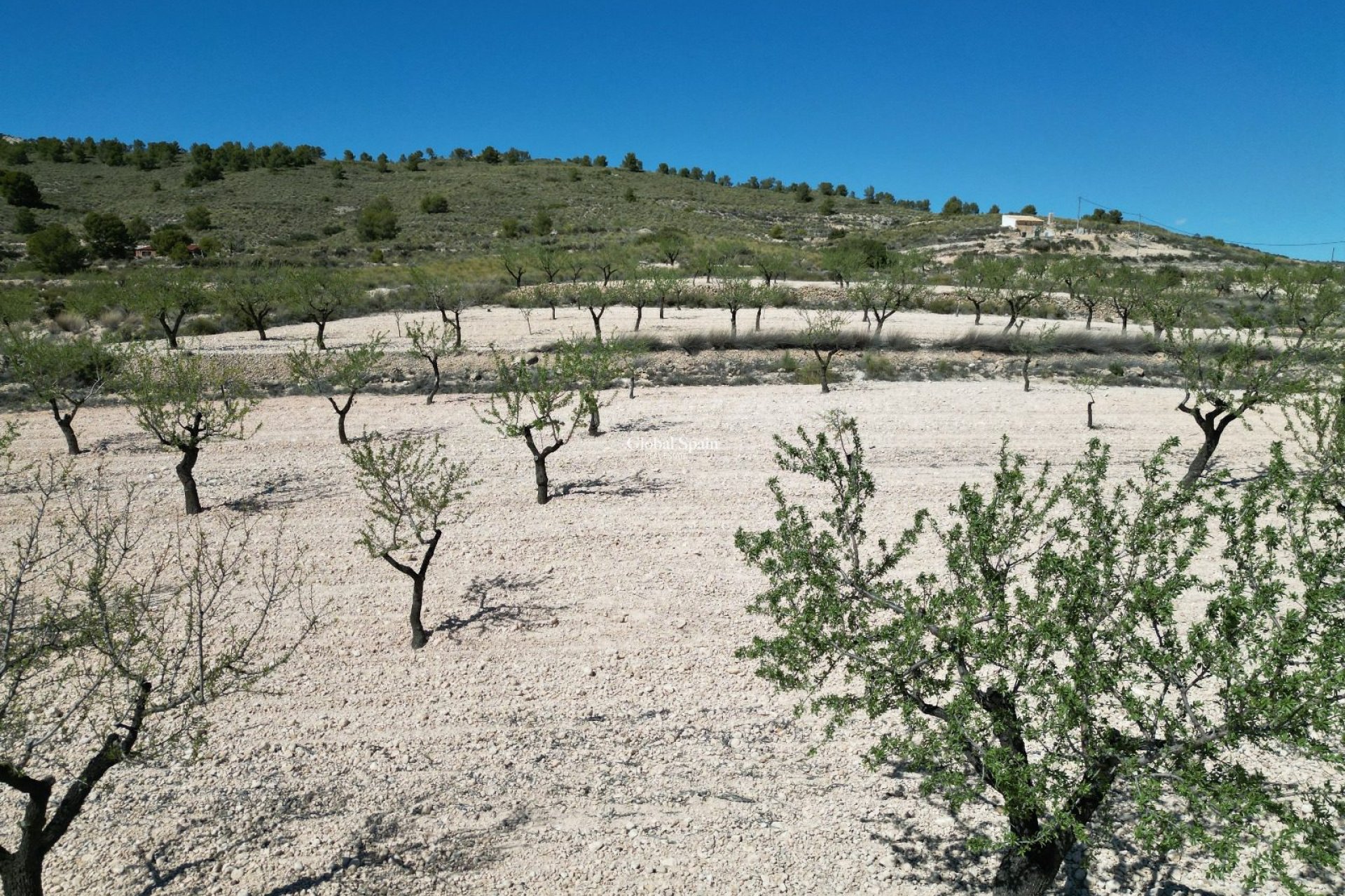 Resale - LAND -
LA ALBERQUILLA - La Alberquila