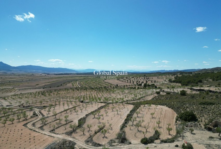 Resale - LAND -
LA ALBERQUILLA - La Alberquila