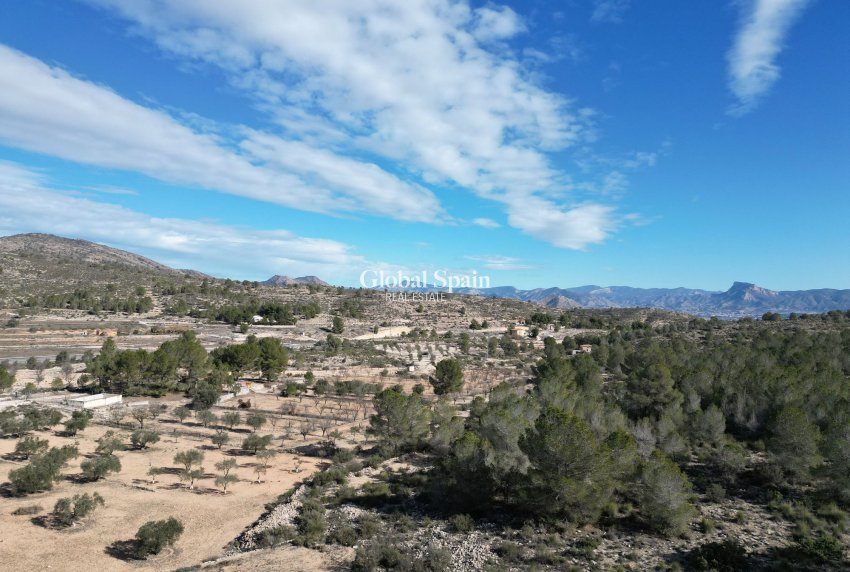 Resale - LAND -
MONÓVAR - Monovar