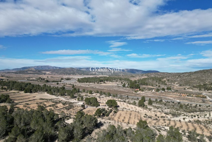 Resale - LAND -
MONÓVAR - Monovar