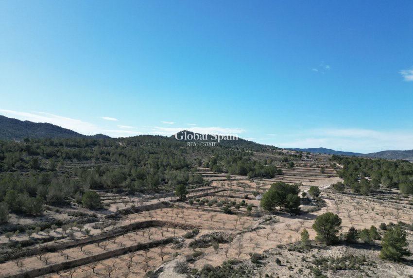 Resale - LAND -
MONÓVAR - Monovar