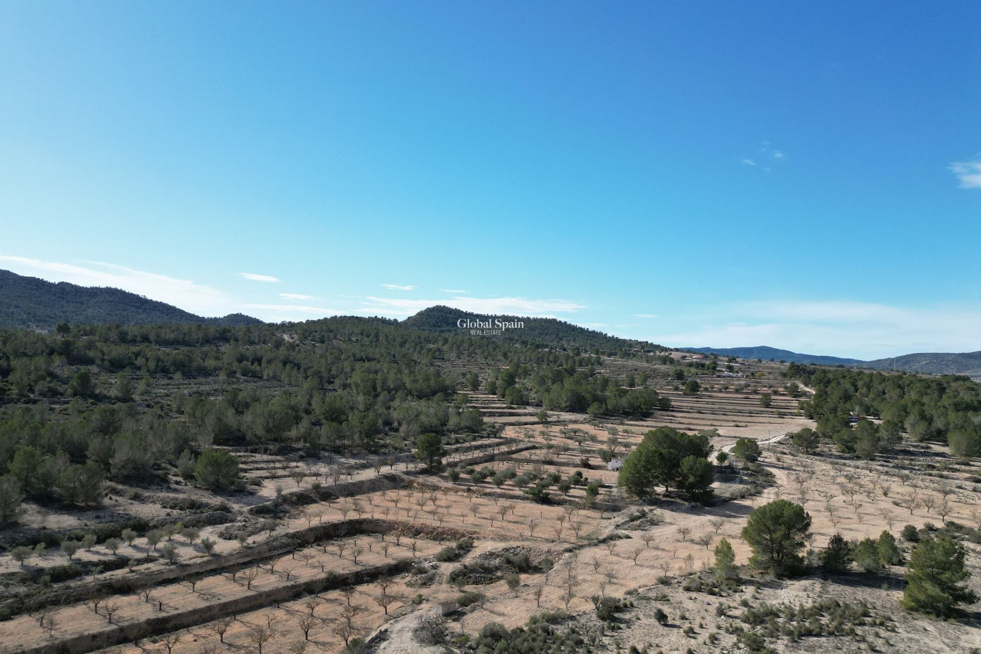 Resale - LAND -
MONÓVAR - Monovar