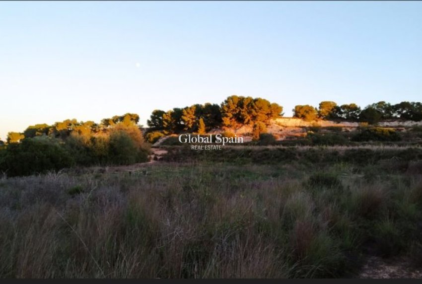 Resale - LAND -
PINAR DE CAMPOVERDE - Inland