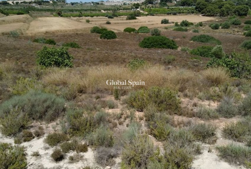 Resale - LAND -
PINAR DE CAMPOVERDE - Inland