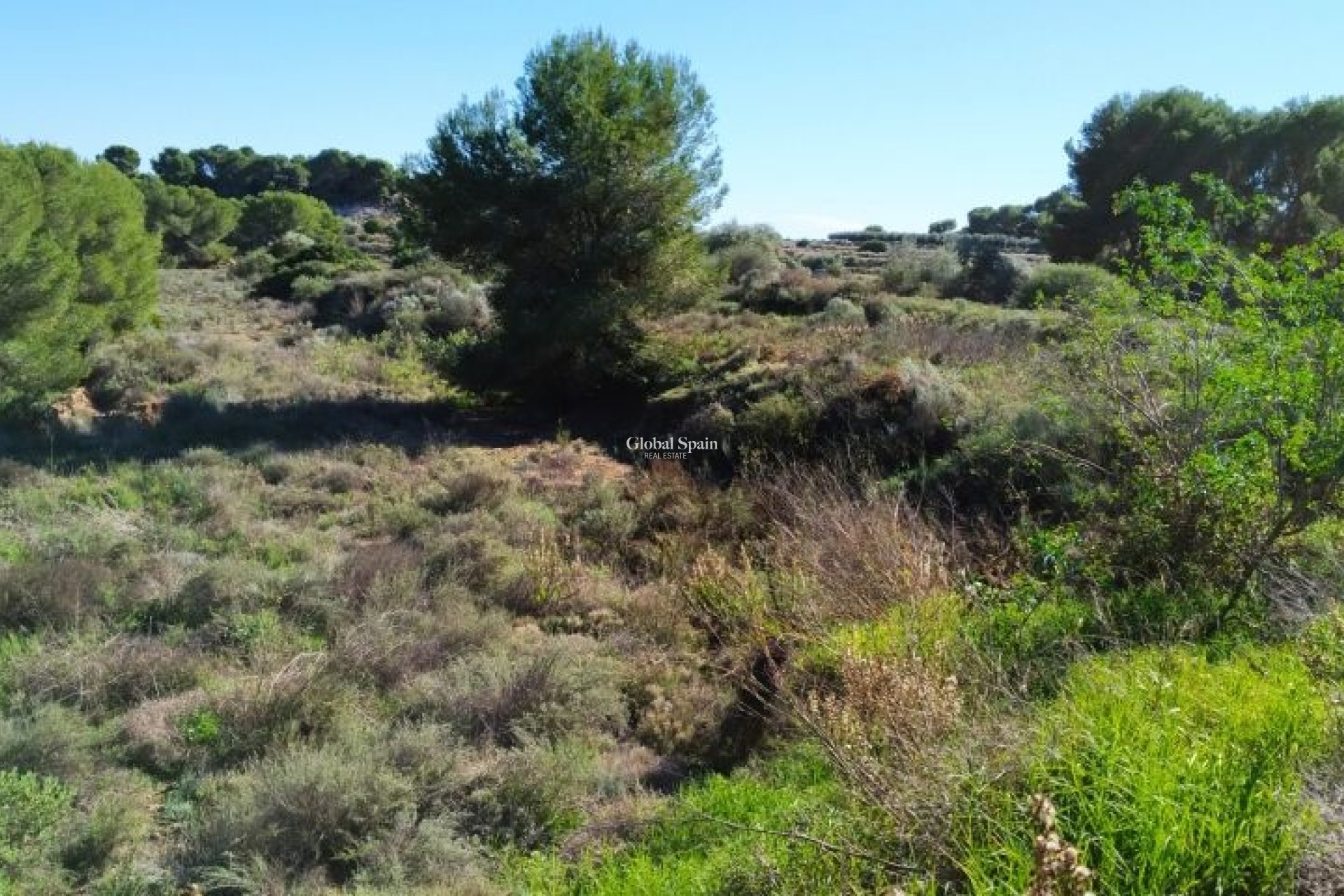 Resale - LAND -
PINAR DE CAMPOVERDE - Inland