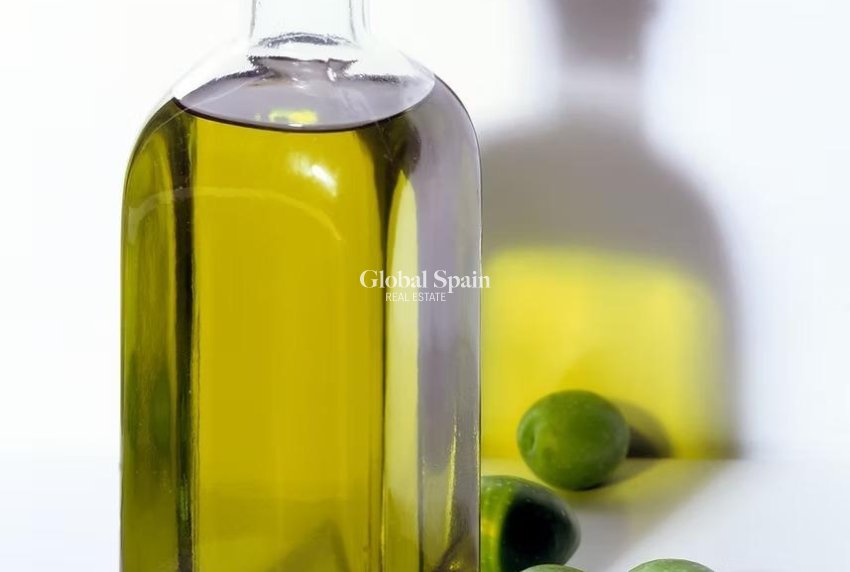 Resale - LAND -
PUERTO LUMBRERAS - Inland