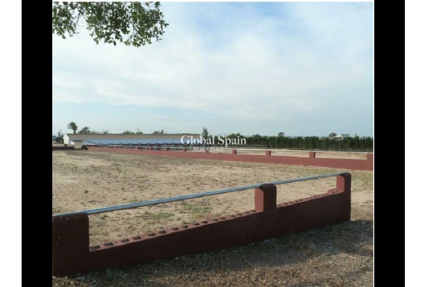 Resale - LAND -
SAN MIGUEL DE SALINAS - Inland