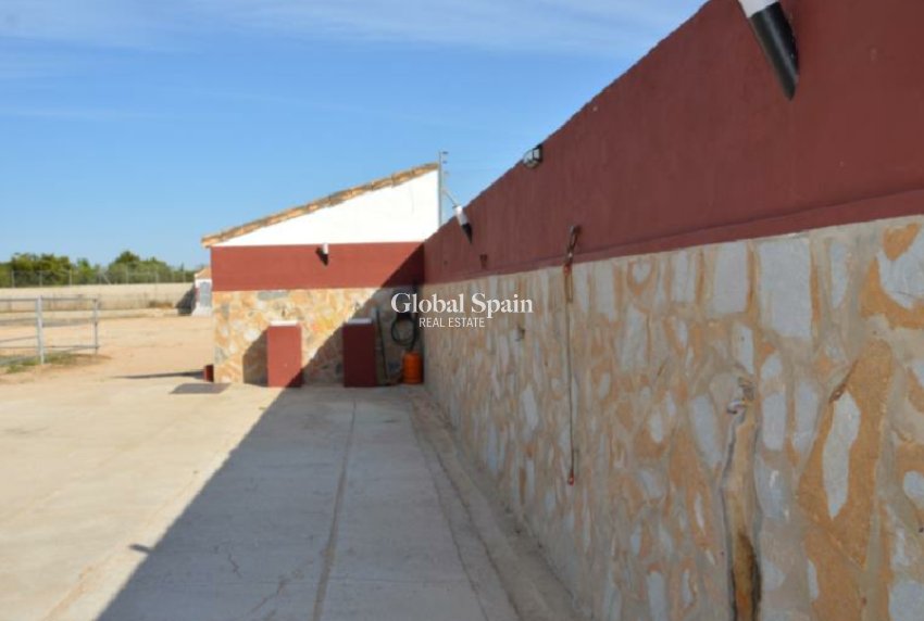 Resale - LAND -
SAN MIGUEL DE SALINAS - Inland