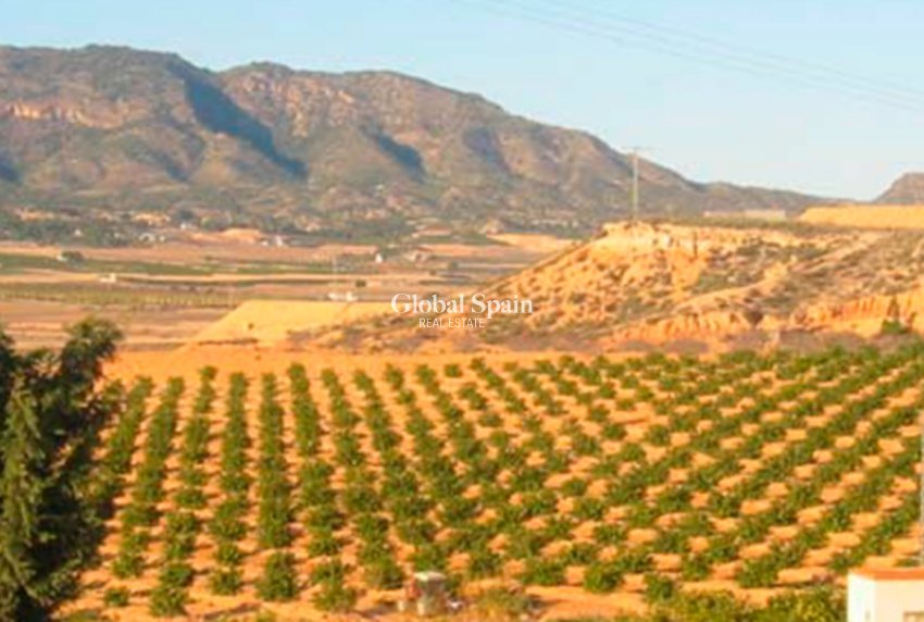 Resale - LAND -
TORRE PACHECO - Inland