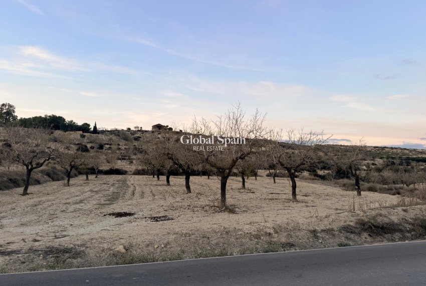 Resale - LAND -
Torremendo - Costa Blanca