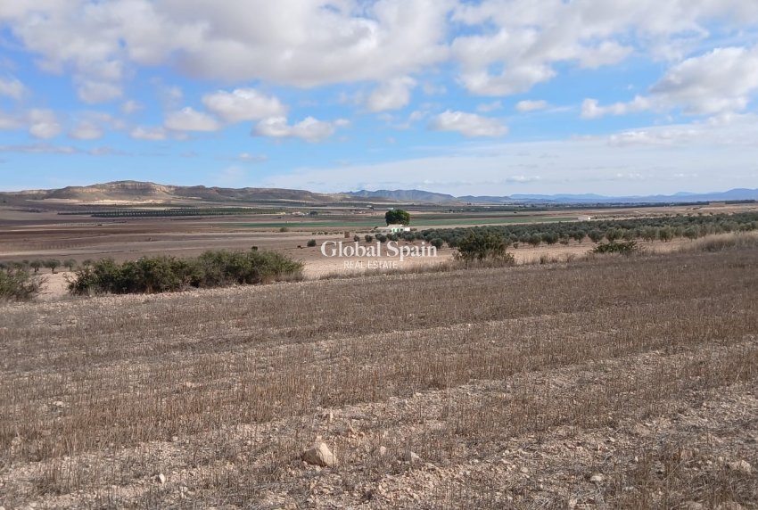 Resale - LAND -
YECLA - Inland