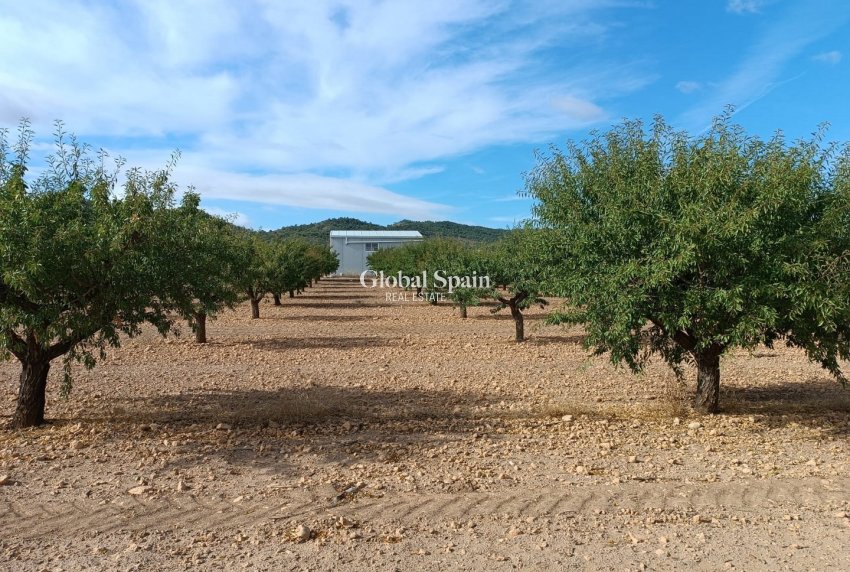 Resale - LAND -
YECLA - Inland