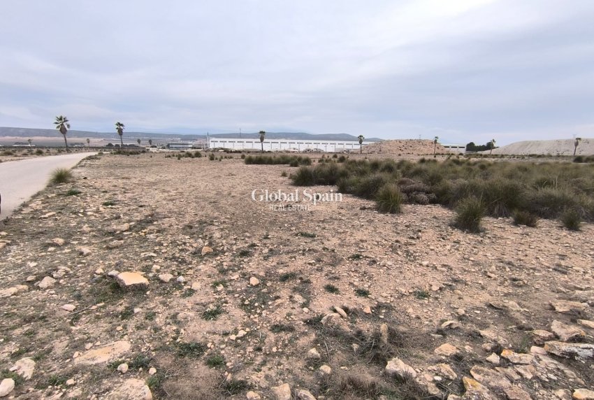 Resale - LAND -
YECLA - Inland