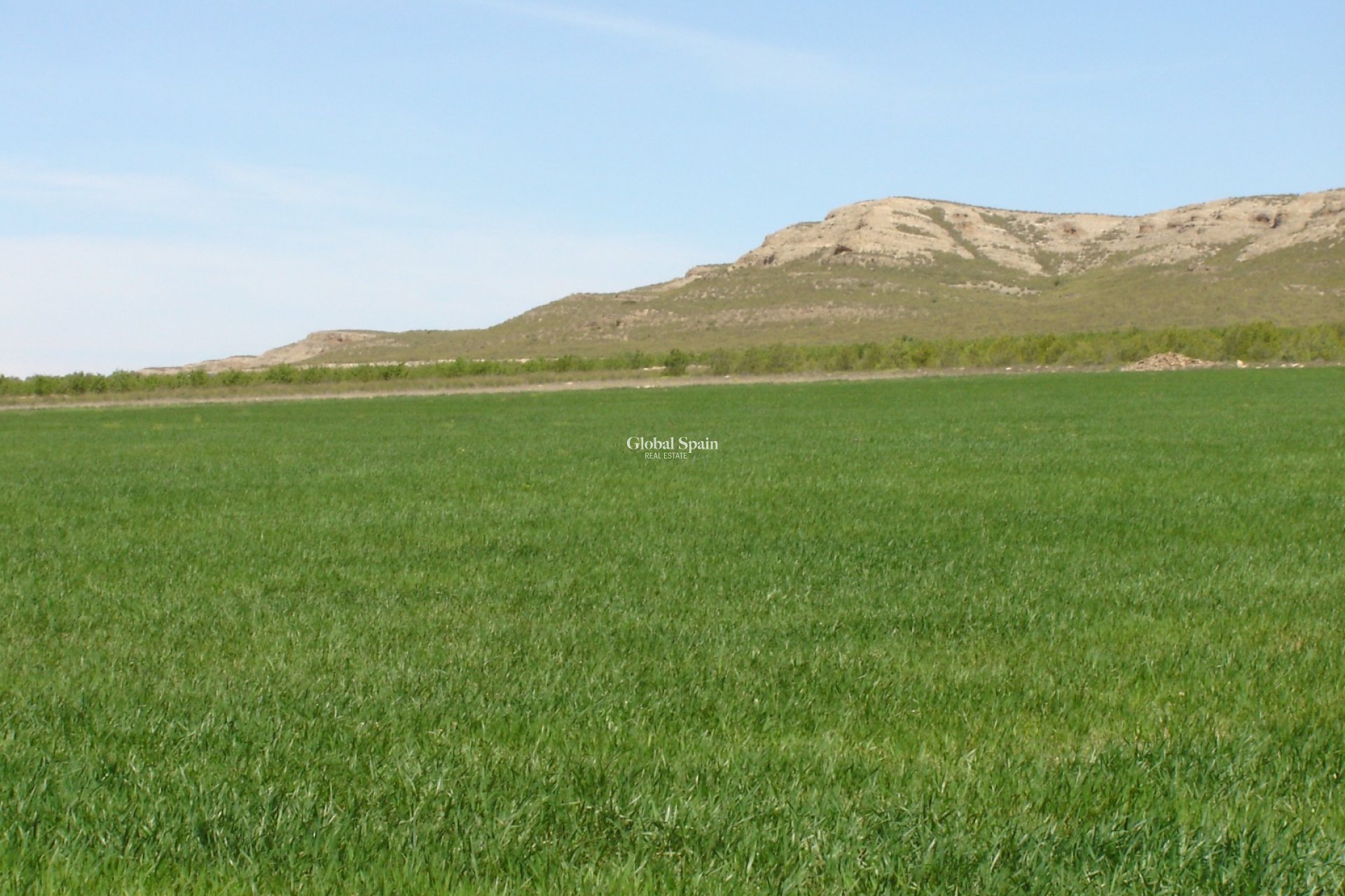 Resale - LAND -
YECLA - Inland