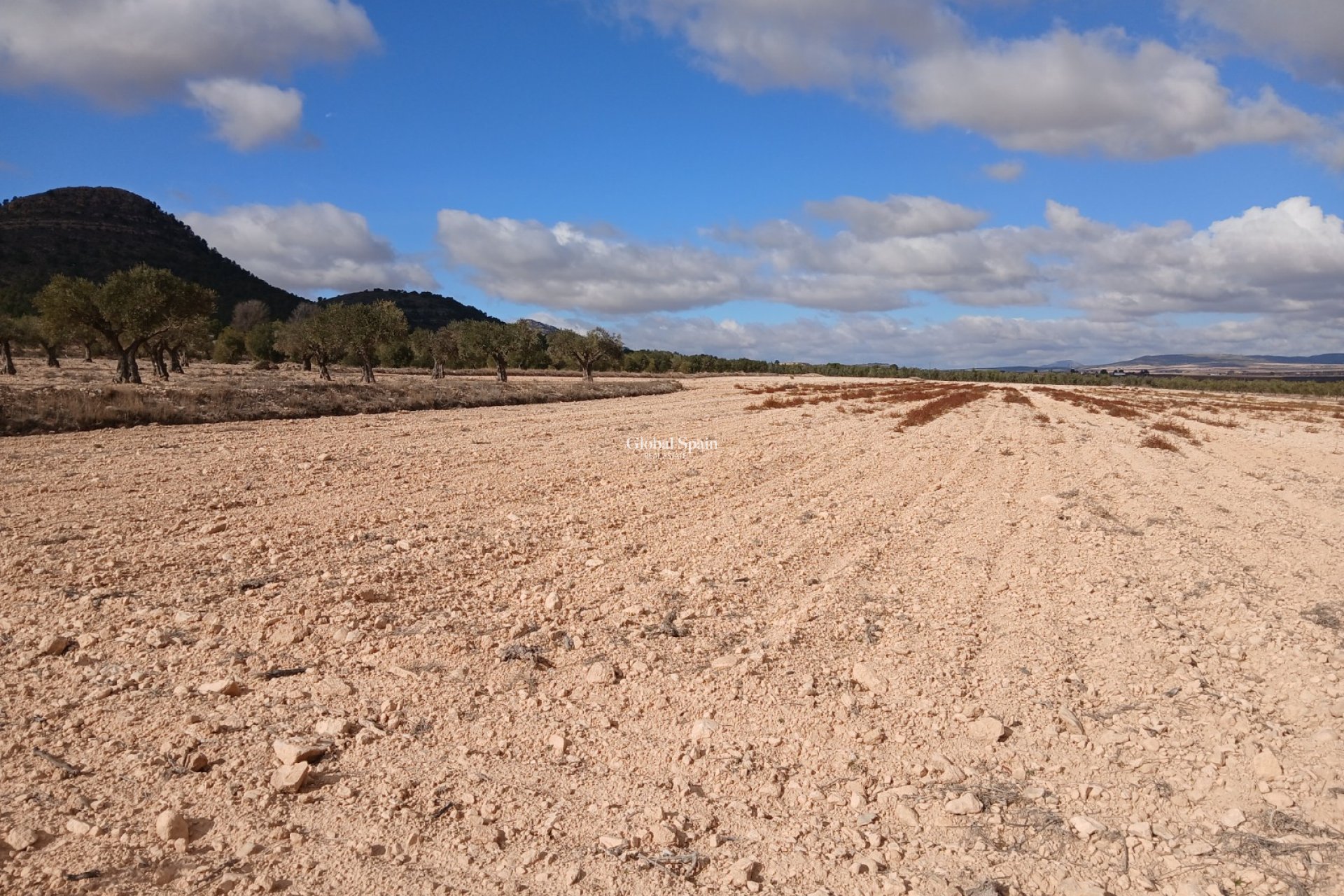 Resale - LAND -
YECLA - Inland