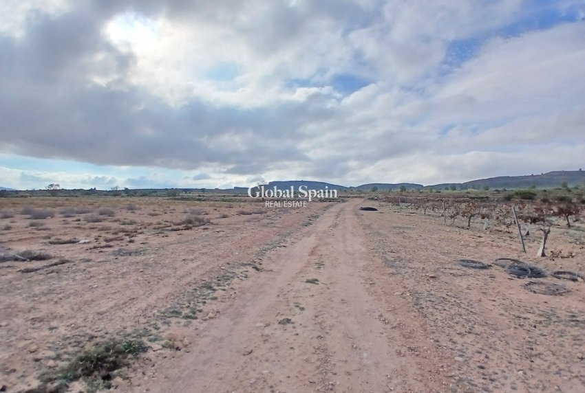 Resale - LAND -
YECLA - Inland