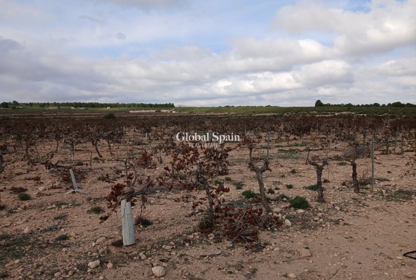 Resale - LAND -
YECLA - Inland