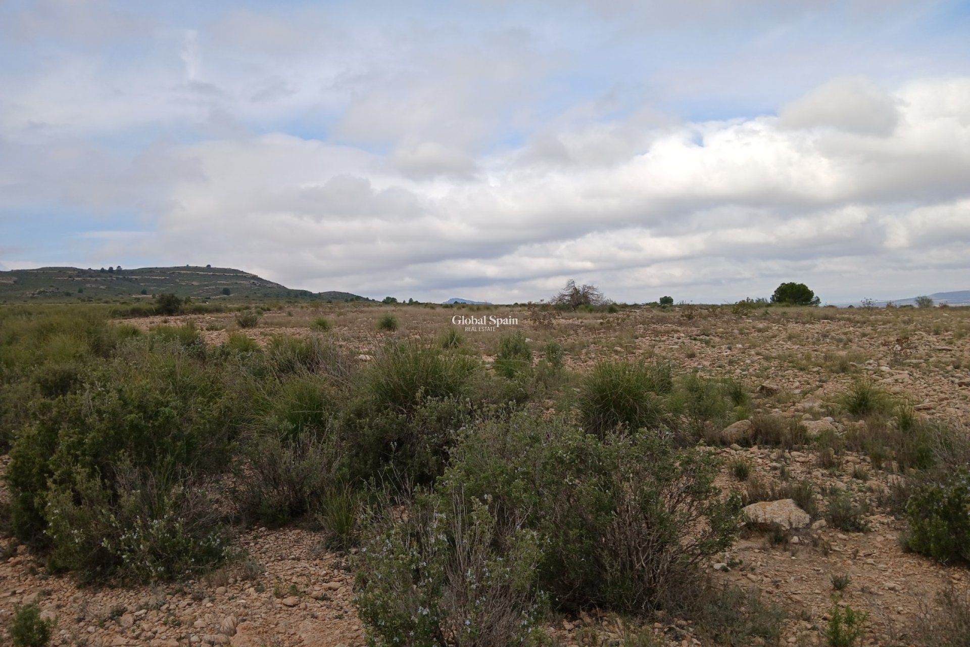 Resale - LAND -
YECLA - Inland