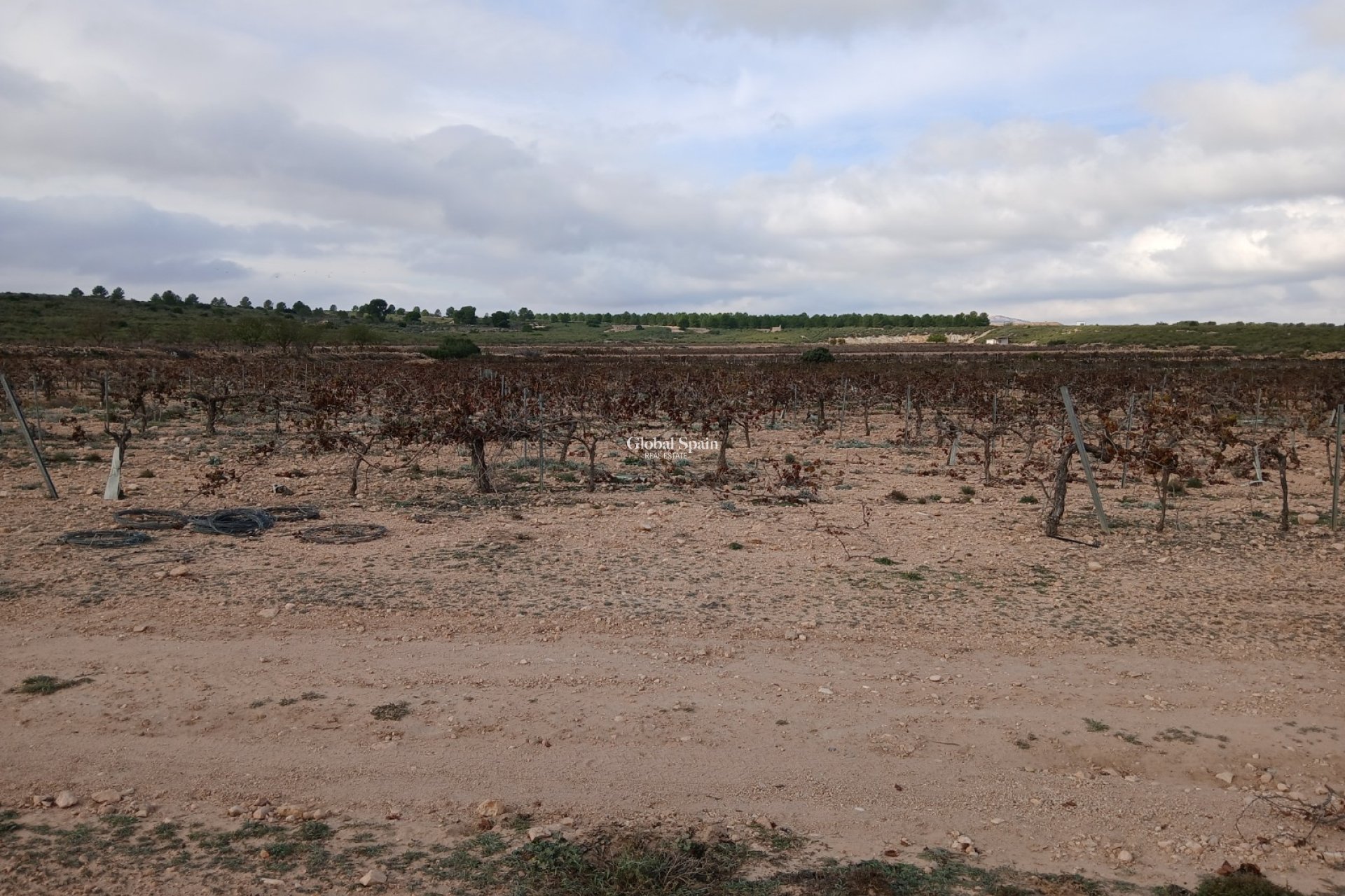 Resale - LAND -
YECLA - Inland