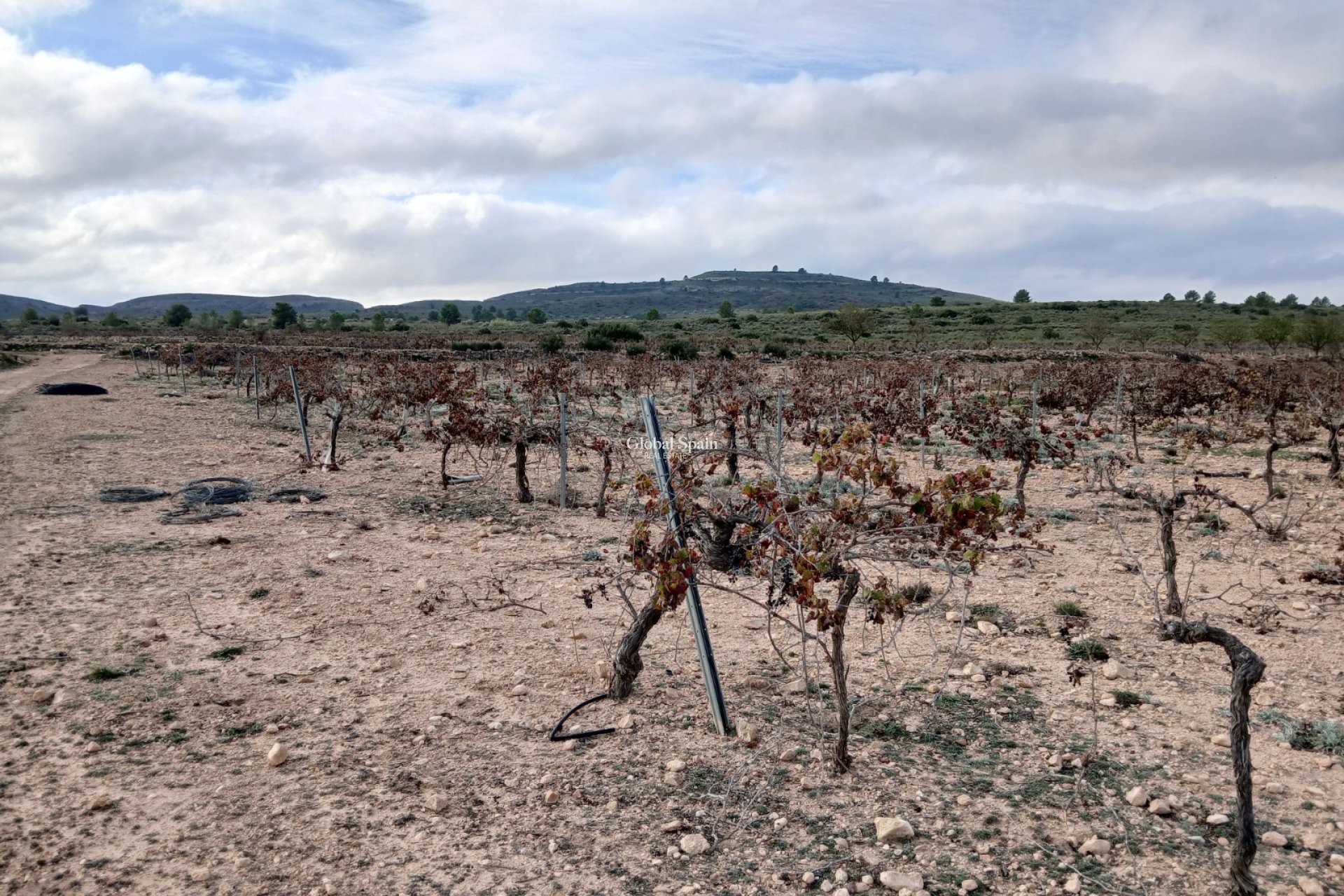 Resale - LAND -
YECLA - Inland