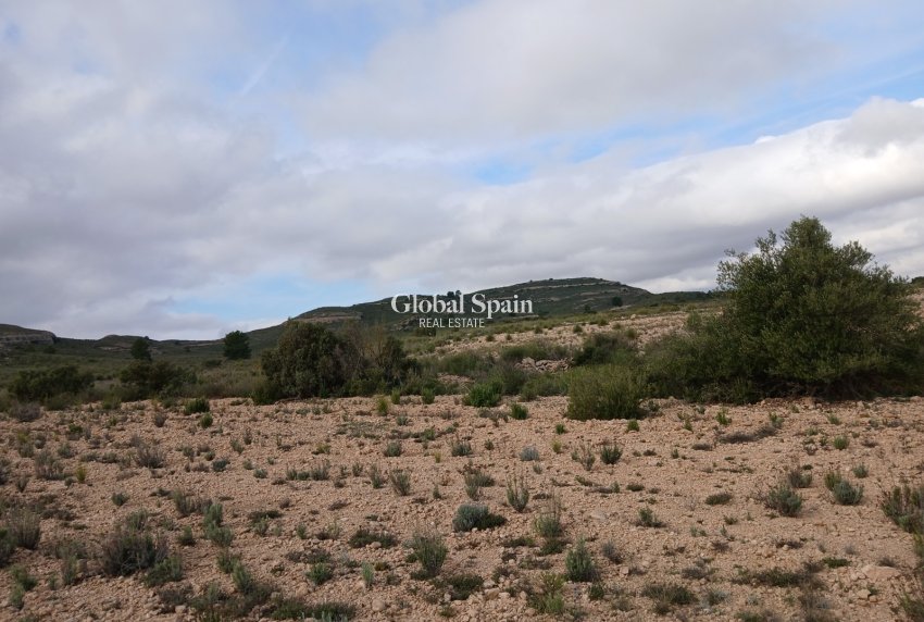 Resale - LAND -
YECLA - Inland