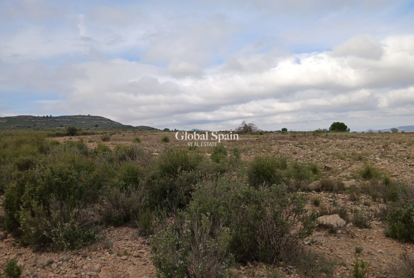 Resale - LAND -
YECLA - Inland