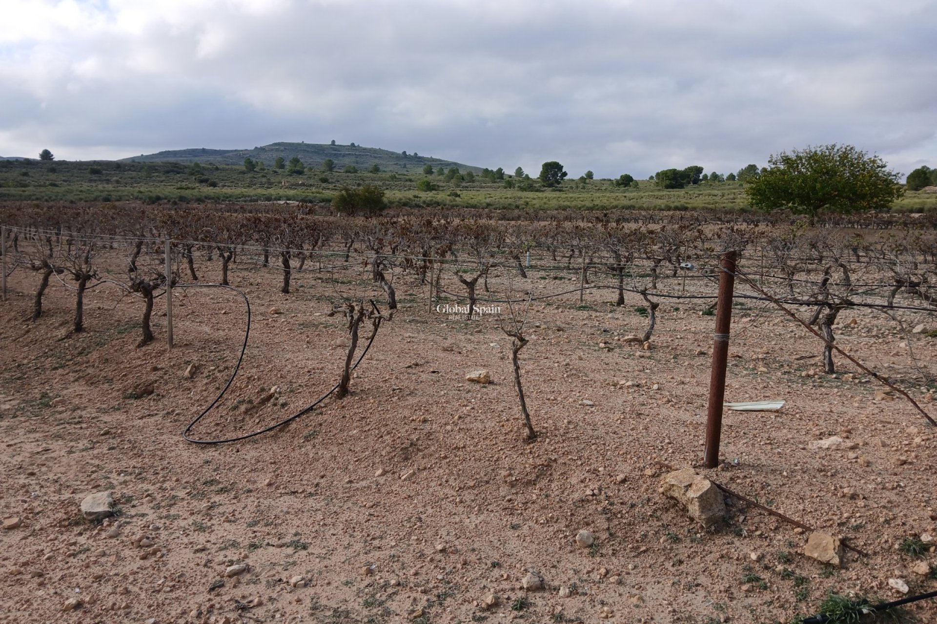 Resale - LAND -
YECLA - Inland