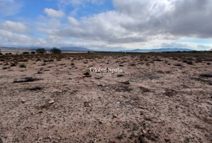 Resale - LAND -
YECLA - Inland