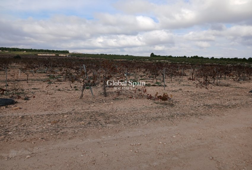 Resale - LAND -
YECLA - Inland