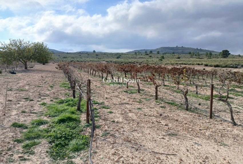 Resale - LAND -
YECLA - Inland