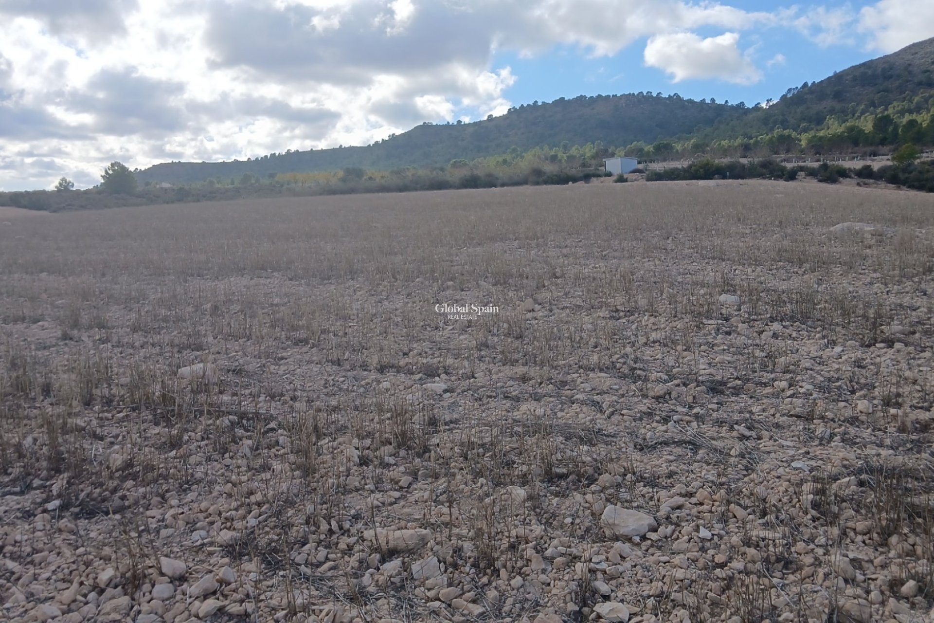 Resale - LAND -
YECLA - Inland