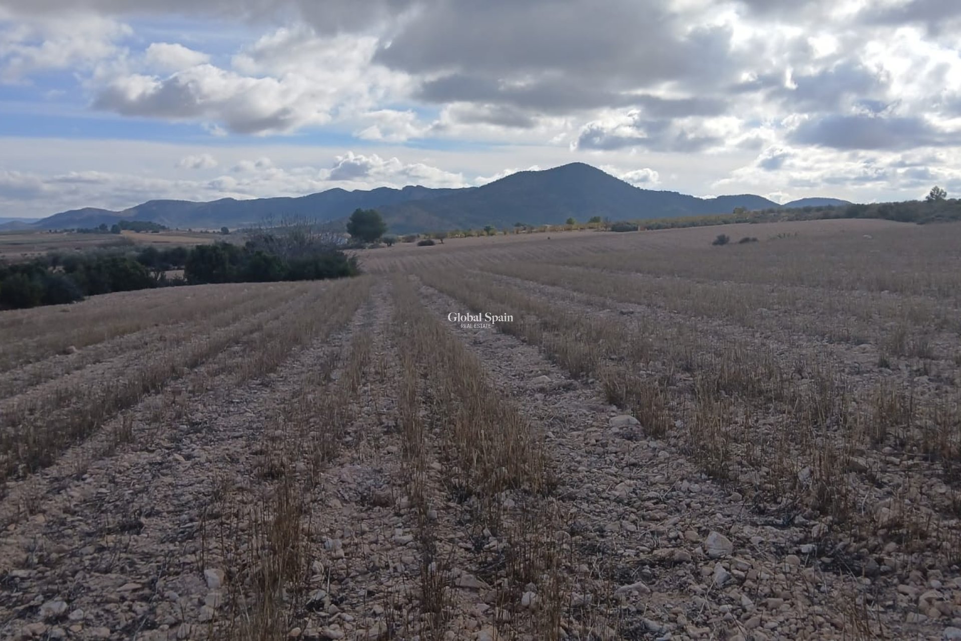 Resale - LAND -
YECLA - Inland