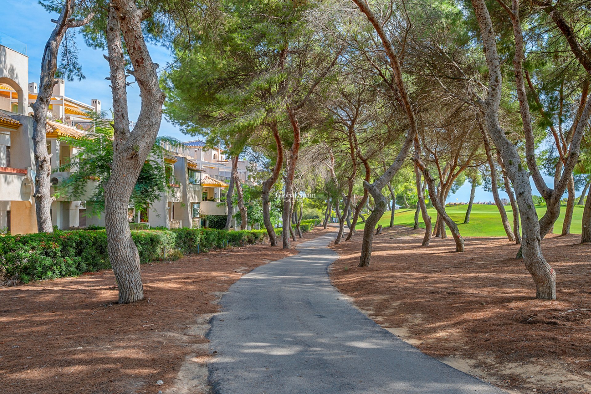 Resale - PENTHOUSE -
DEHESA DE CAMPOAMOR - Costa Blanca